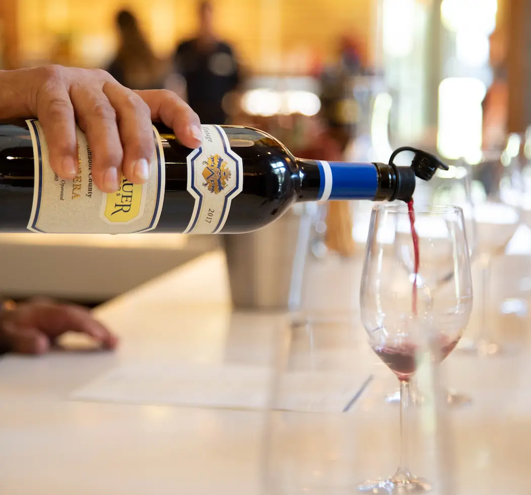 Wine 101: Wine Tasting Guide for Travelers