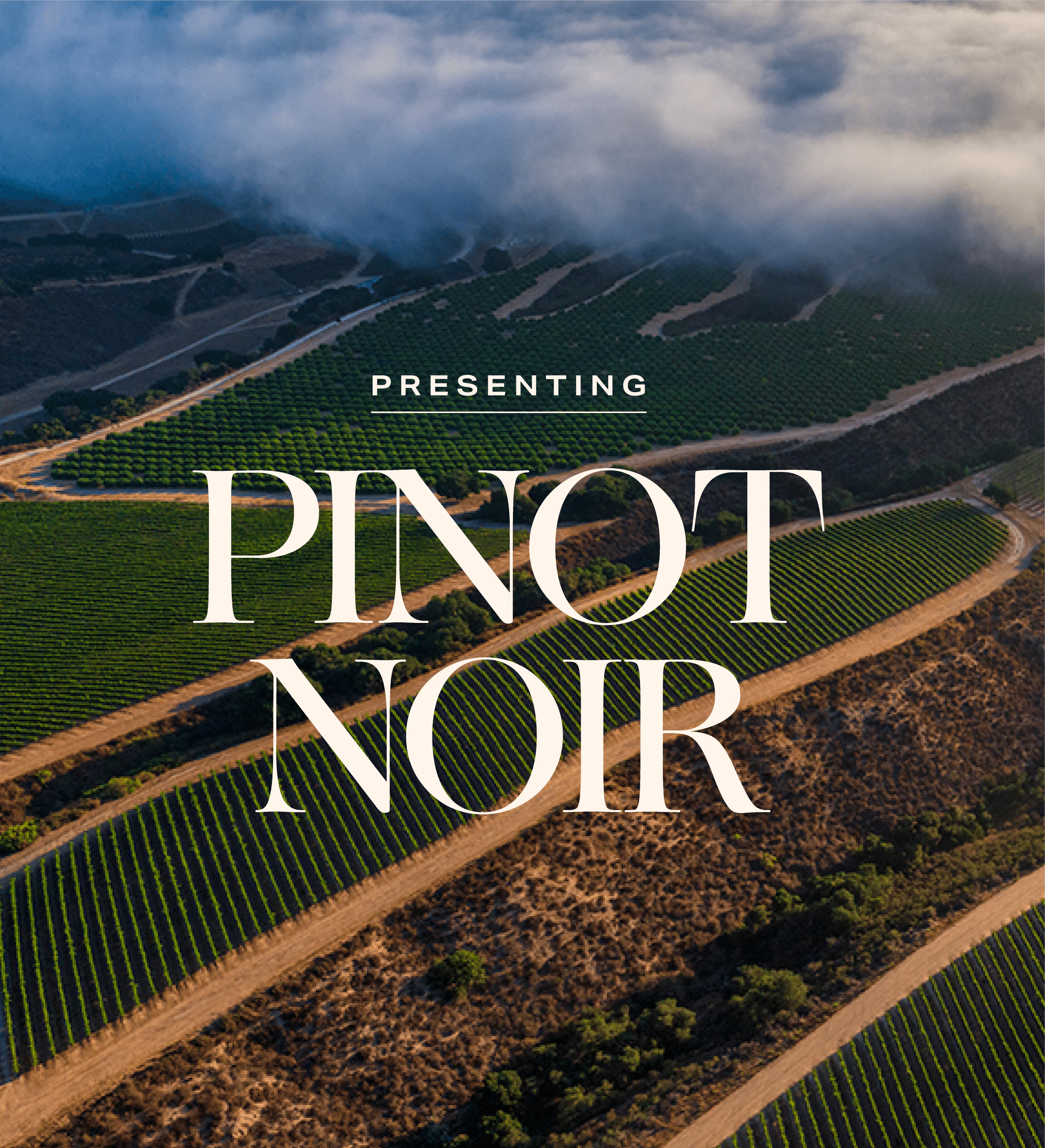 Presenting Pinot Noir